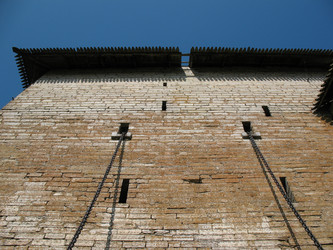 Similar image 11459017