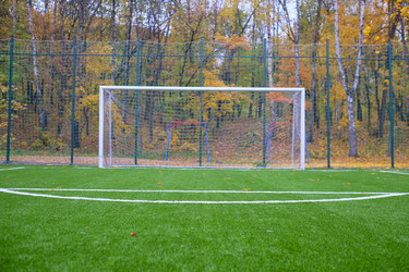 Similar image 11436306