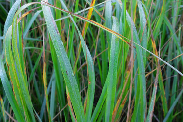 Similar image 11436393