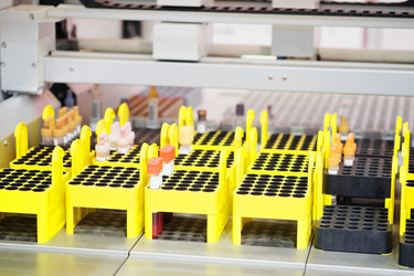 Similar image 11436532