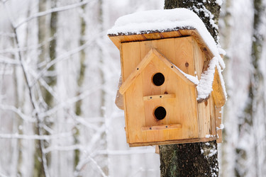 Similar image 11436298