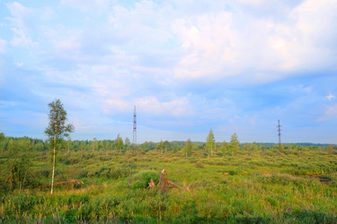 Similar image 11436386