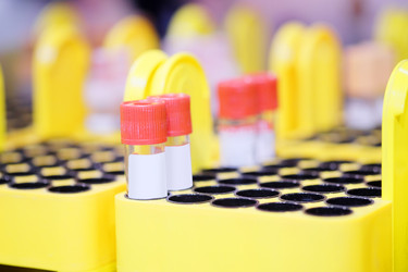 Similar image 11436577