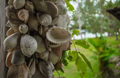 Similar image 11459329