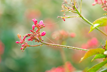 Similar image 11465334