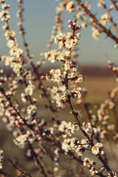 Similar image 11468118