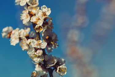 Similar image 11468119