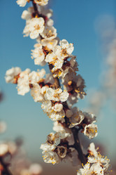 Similar image 11468120