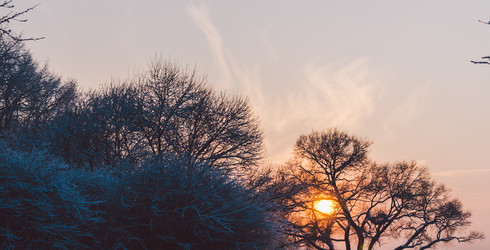 Similar image 11426355