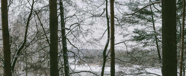 Similar image 11426358