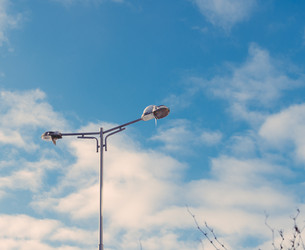 Similar image 11426339