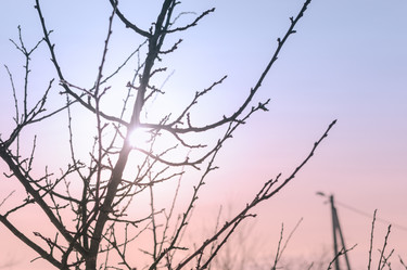 Similar image 11426340