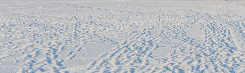 Similar image 11426341