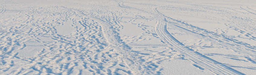 Similar image 11426577