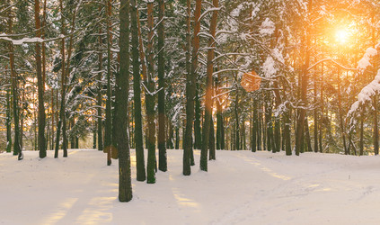 Similar image 11426557