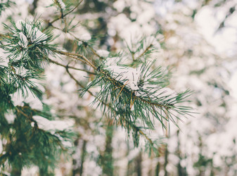 Similar image 11426580