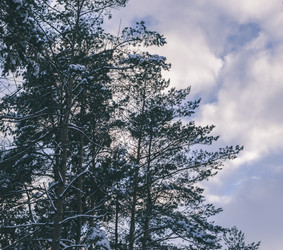 Similar image 11426558