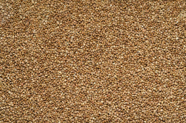 Similar image 11420311