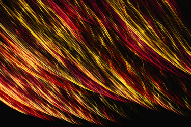 Similar image 11420431