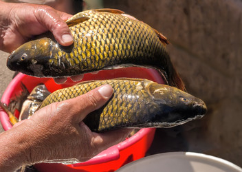 Similar image 11420469