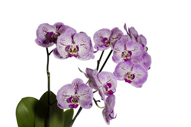 Similar image 11414681