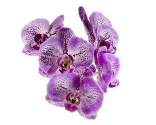 Similar image 11414682