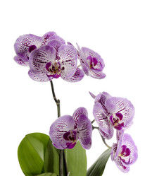 Similar image 11414683