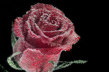 Similar image 11420233