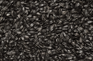 Similar image 11420272