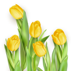 Similar image 11449766