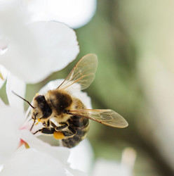 Similar image 11468031