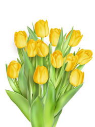 Similar image 11450145