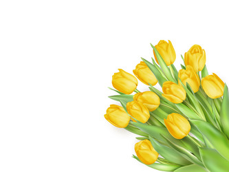 Similar image 11450146