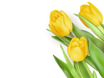 Similar image 11450148