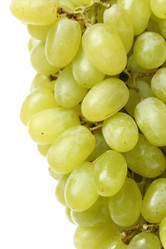 Similar image 11433348