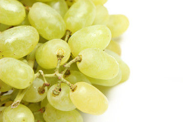 Similar image 11433349