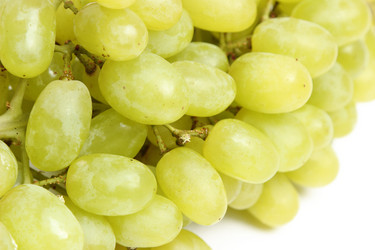 Similar image 11433351