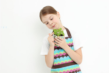 Similar image 11433230