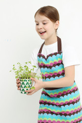 Similar image 11433251