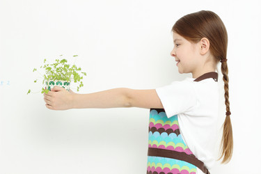 Similar image 11433252