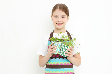 Similar image 11433267