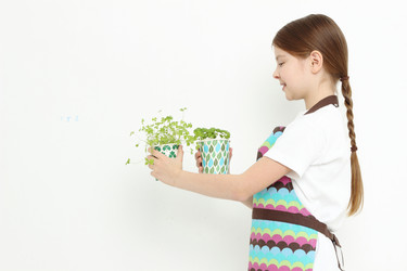 Similar image 11433269