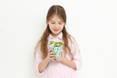 Similar image 11434686