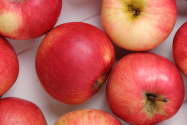 Similar image 11433907