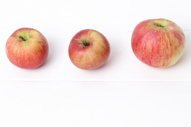 Similar image 11433908