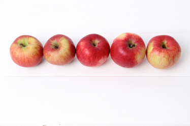 Similar image 11433923