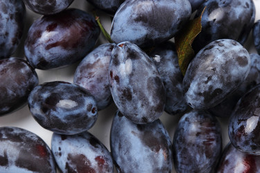 Similar image 11433931