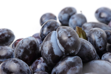 Similar image 11433939