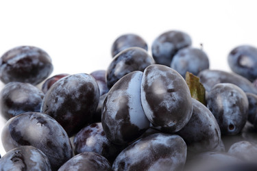 Similar image 11433940