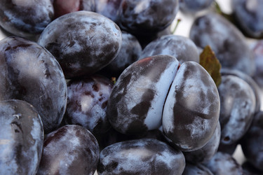 Similar image 11433941